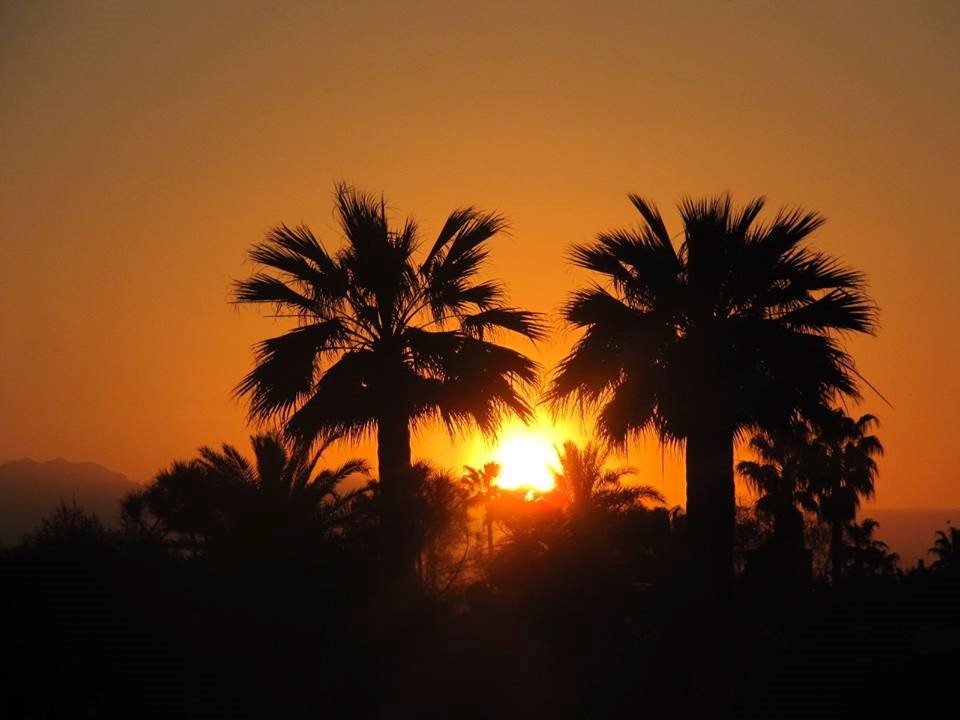 imagini hotel CRYSTAL TATBEACH BELEK